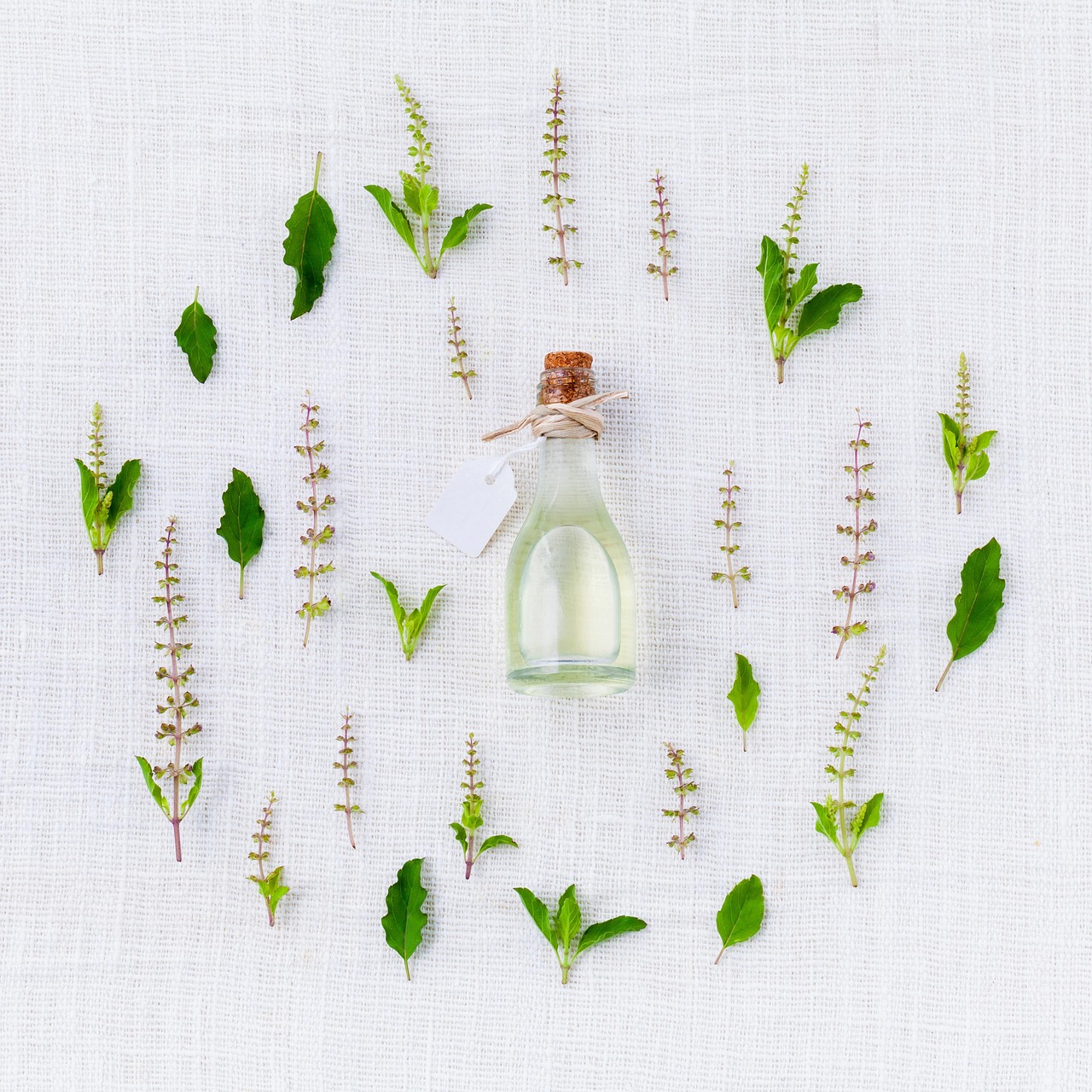 Cypress Essential Oil Price Guide: What Drives the Cost per Ounce