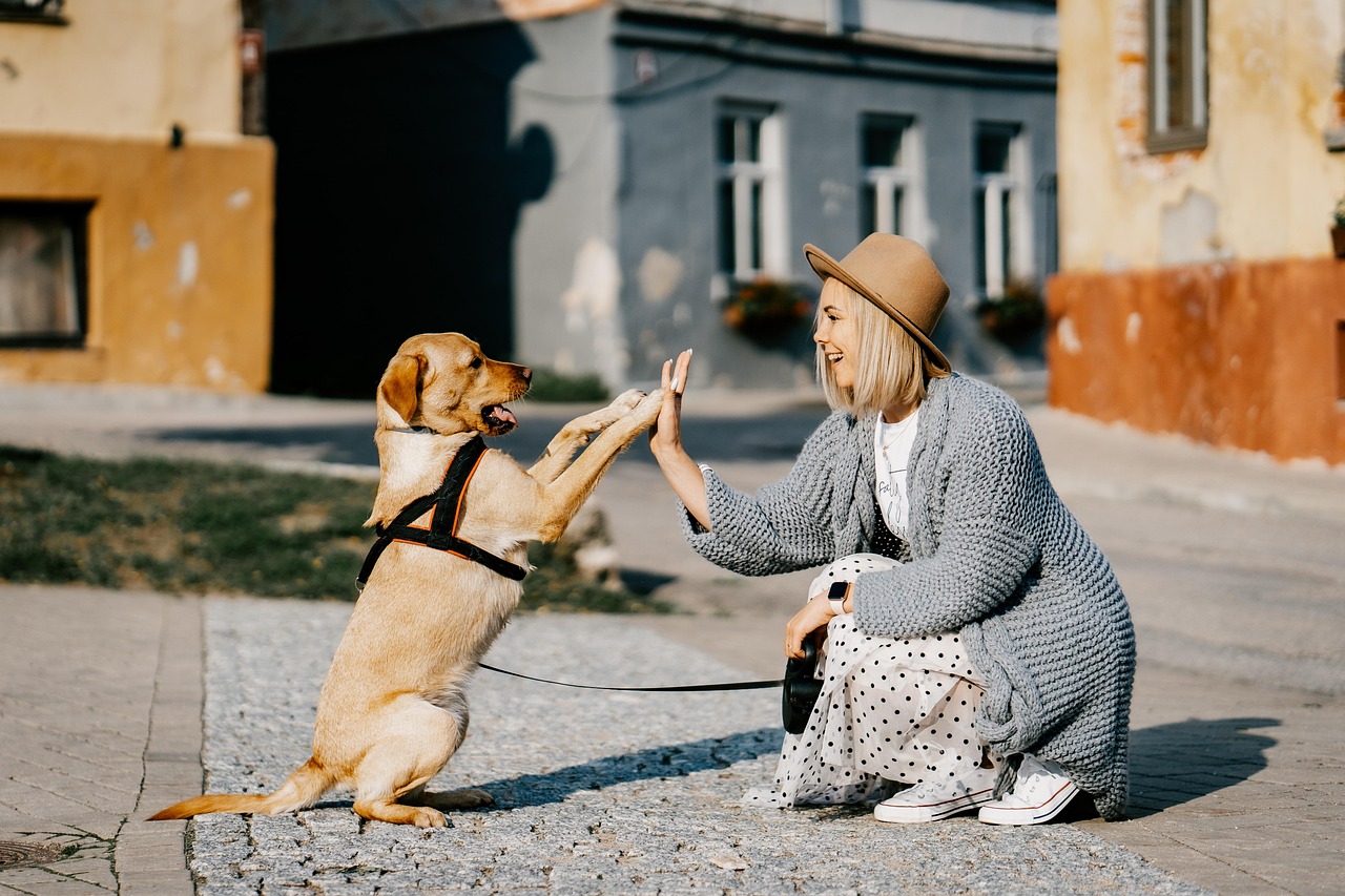 Cypress Oil and Dogs: What Pet Owners Should Know